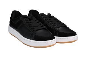 Pro 80 Black Horse (Caballero) - Image 8