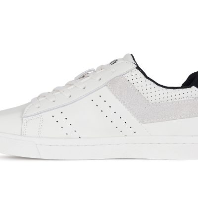 Italian Top Star Baby Panda - Image 4